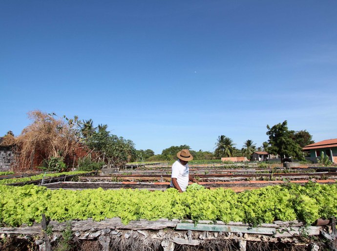 Crédito fundiário do BNB cresce 219% e possibilita que mais de 800 famílias adquiram imóveis rurais