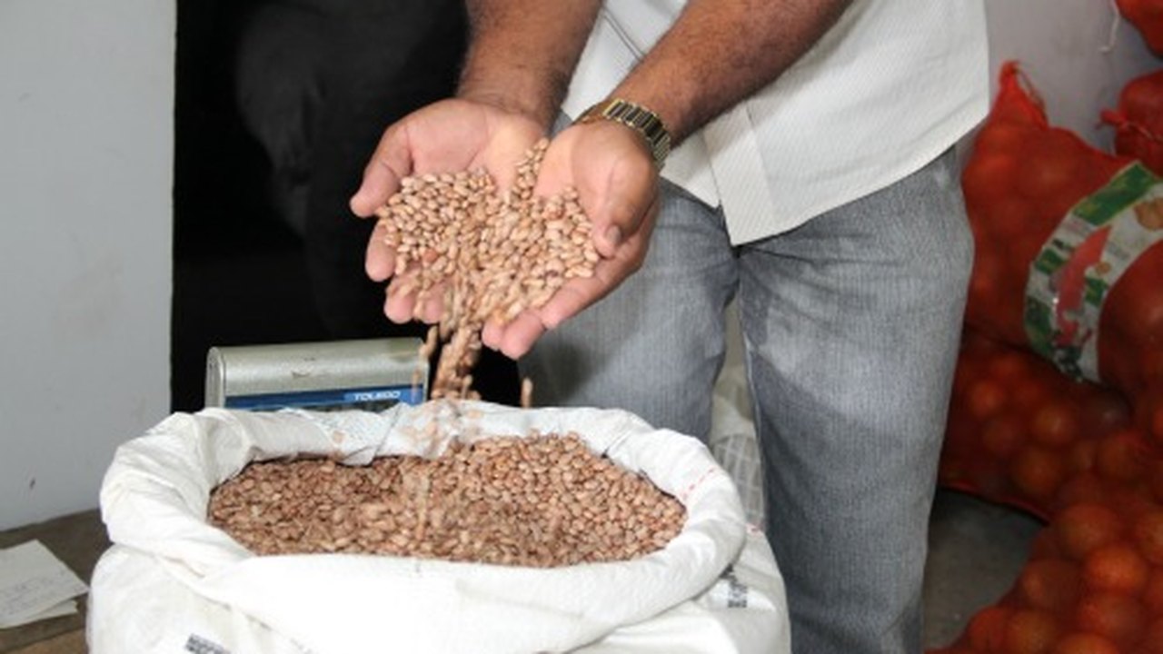 Arapiraca: Agricultores começam a entregar alimentos para o PAA municipal