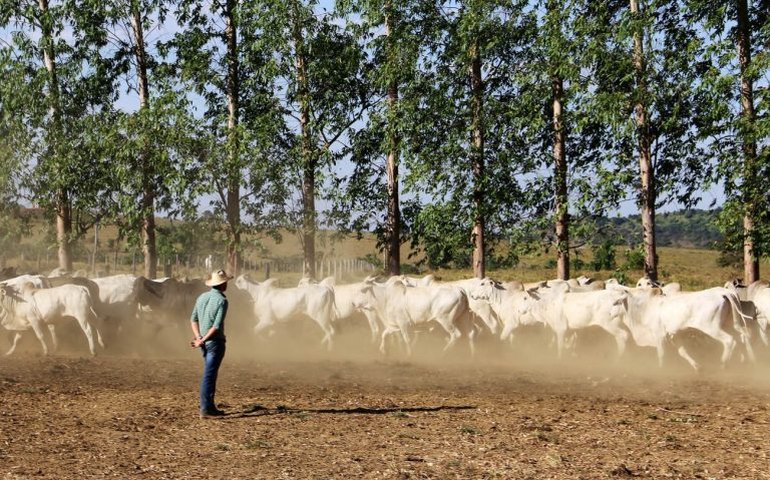 Comissão debate embargos às propriedades rurais na região do Amazonas
