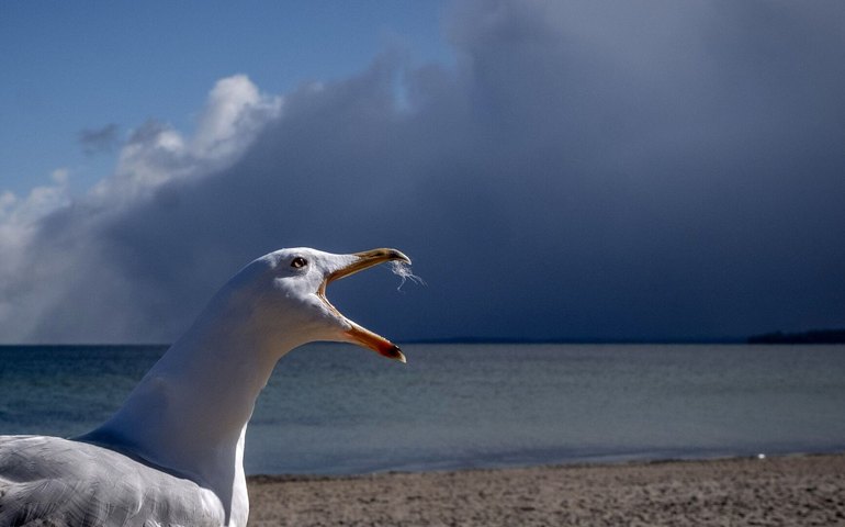 Mídia: OTAN anuncia envio de navios ao mar Báltico para proteger infraestrutura subaquática