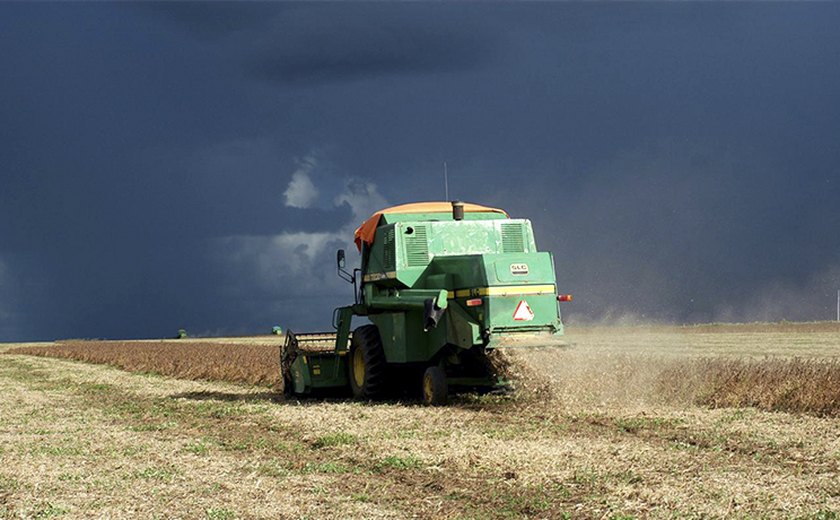 Centro-Oeste produz cerca de 42% da safra brasileira de grãos
