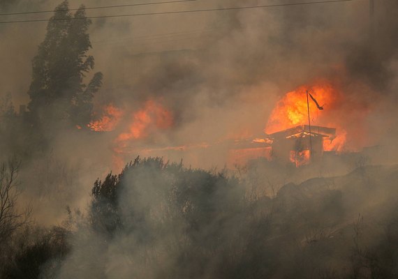 Ao menos 51 pessoas morrem no Chile devido a incêndios florestais, segundo autoridades