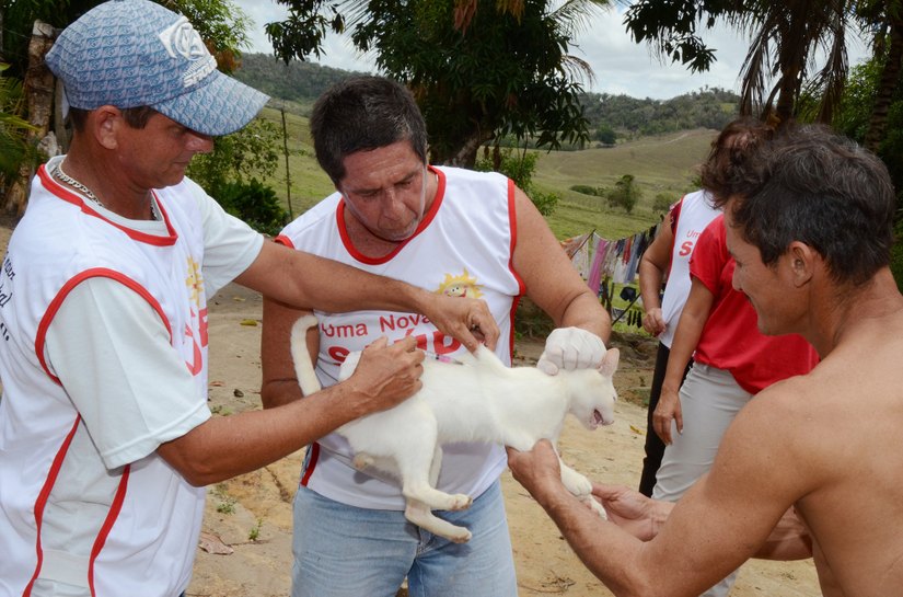 Antirrábica: Dia D acontece sábado em Marechal; confira os locais de vacinação