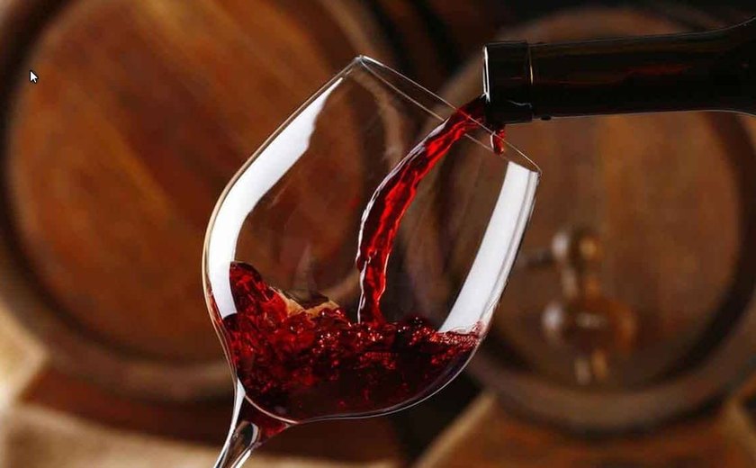 Núcleo da Abrasel em Arapiraca promove treinamento de vinhos voltado ao setor de bares e restaurantes