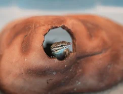 WhatsApp Image 2026-04-22 at 11.09.10.jpeg 