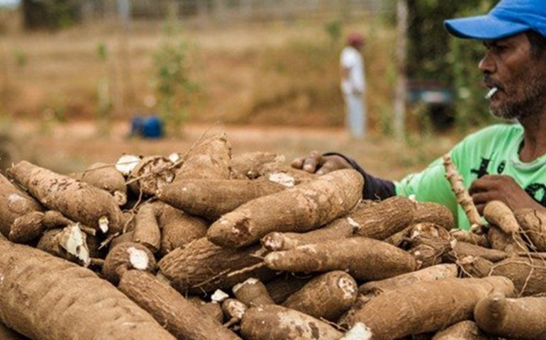 Associação de Lagoa da Canoa comercializa R$ 566 mil em programa