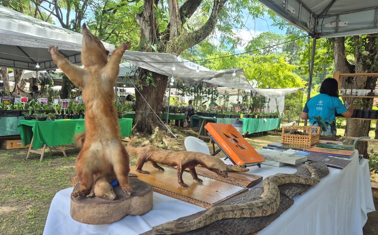 Estande do IMA/AL leva educação ambiental à Exposição de Orquídeas e Bromélias de Alagoas