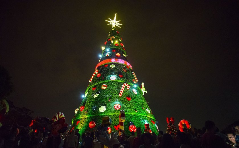 Árvores de Natal do Ibirapuera e do Villa-Lobos têm atrações especiais