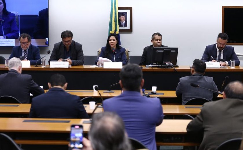Parlamentares buscam saída para embargos do Ibama na Amazônia Legal