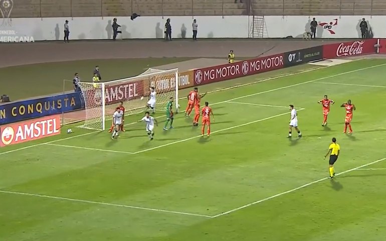 Botafogo e Red Bull Bragantino vencem e lideram seus grupos na Sul-Americana