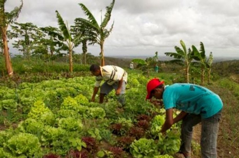 Governo orienta produtores para o cultivo de alimentos livre de agrotóxicos