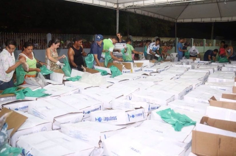 Prefeitura de Campo Alegre realizará a distribuição de 55 toneladas de peixes para Semana Santa