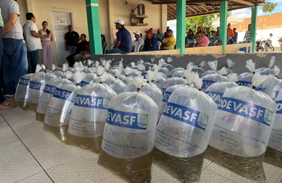 Criação de peixe em tanques escavados gera emprego e renda para agricultores penedenses