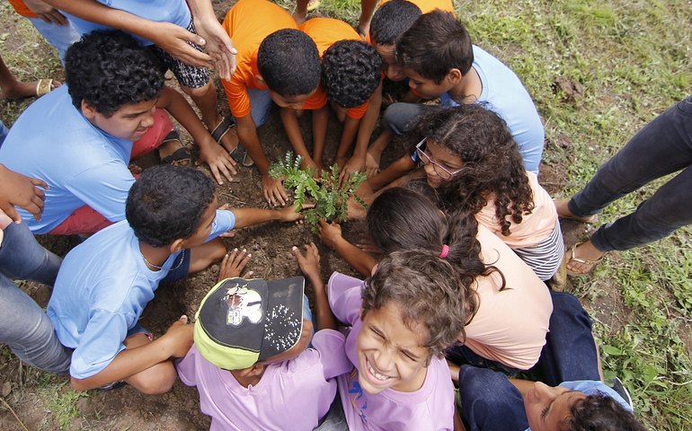 Dia da Árvore é comemorado em Palmeira com plantio de mudas nativas da região