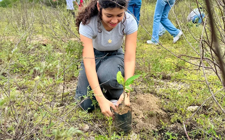 IMA/AL celebra Dia da Caatinga com plantio de mudas nativas em Ouro Branco