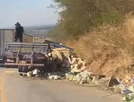 Caminhão perde os freios na Serra das Pias e motorista evita tragédia ao jogar veículo contra barreira