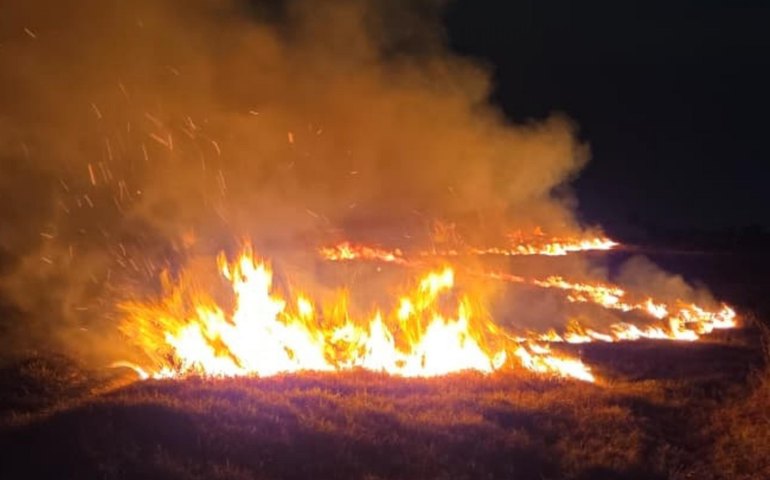 Corpo de Bombeiros registra 16 incêndios em vegetação em um único dia em Alagoas