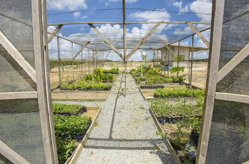 Centrais de Tratamento viram alternativa para lixões em Alagoas