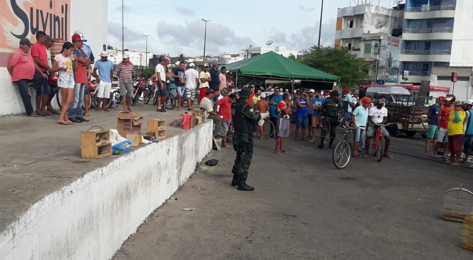 APREENSÃO PÁSSAROS / Foto: Pelotão Ambiental