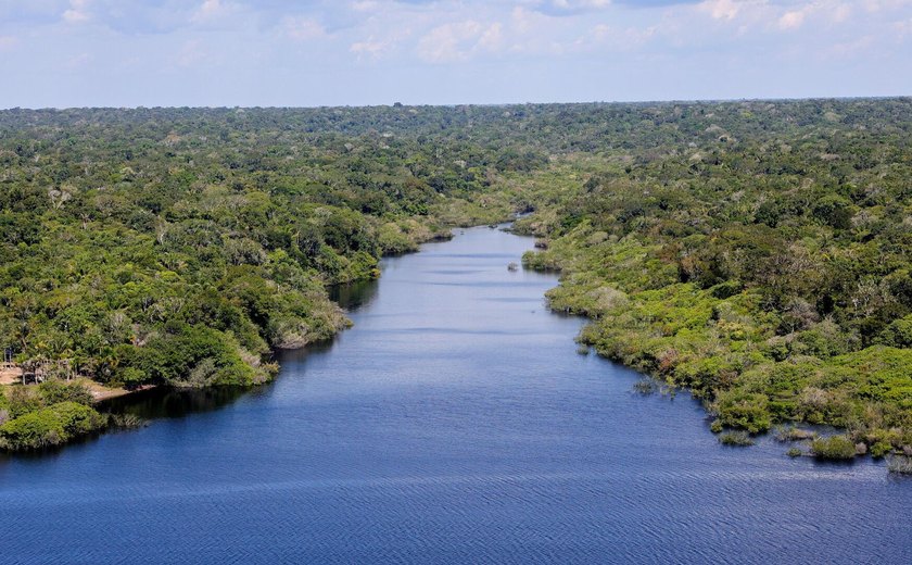 Análise: decisões dos países amazônicos serão frustradas por modelo de desenvolvimento consumista