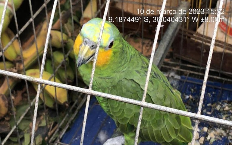 Fiscais do IMA e do ICMBio combatem caça predatória na Estação Ecológica de Murici