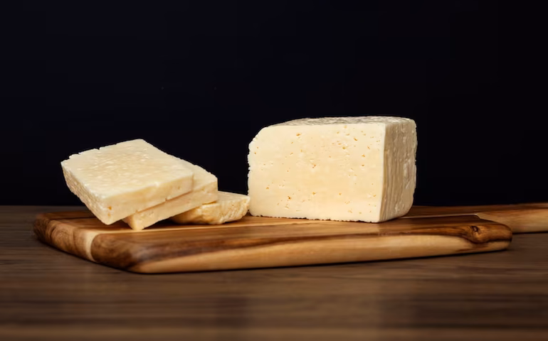 Vírus da gripe aviária sobrevive em queijo de leite cru por até 120 dias, mostra novo estudo da Nature Medicine; entenda