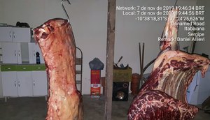 matadouro ita