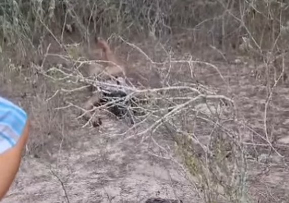 Mulher é encontrada morta e seminua na Zona Rural de Olho D'água das Flores