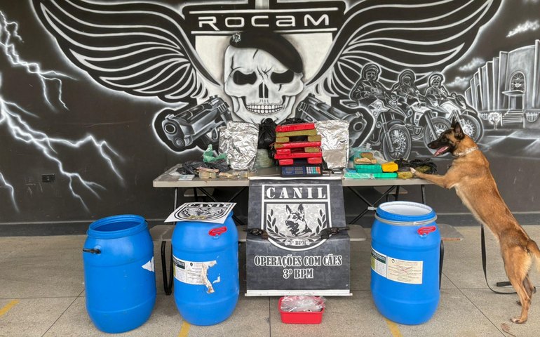 PM apreende quase 20 kg de drogas, armas e dinheiro no interior de Alagoas