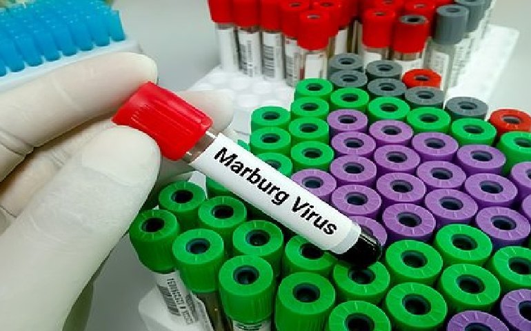 Vírus de Marburg, um dos mais letais do mundo, tem surto confirmado pela OMS