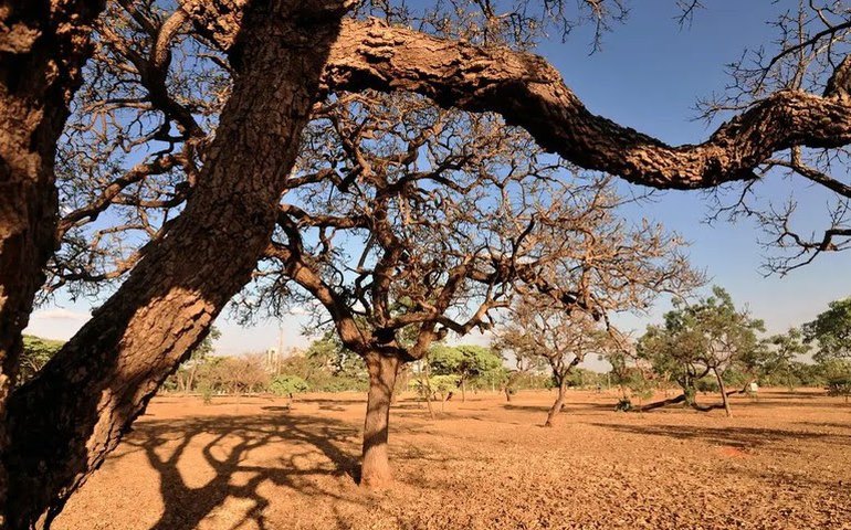 Plano de Ação de Combate à Desertificação é aprovado por unanimidade
