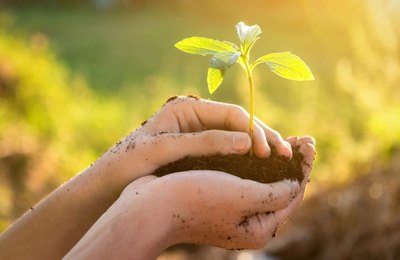 Saúde promove ações sobre qualidade de vida e sustentabilidade