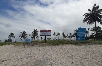 Meio Ambiente: Prefeitura de Marechal instala placas em praias para proteger desova de tartarugas