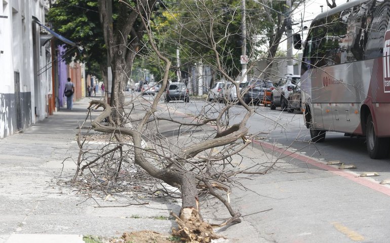 Chuva forte deixa mais de 1 milhão sem luz nesta tarde em São Paulo