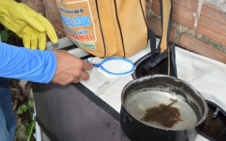 Casos confirmados de dengue reduzem em quase 90% em Alagoas