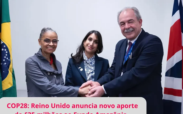 Reino Unido anuncia mais R$ 215 milhões para o Fundo Amazônia