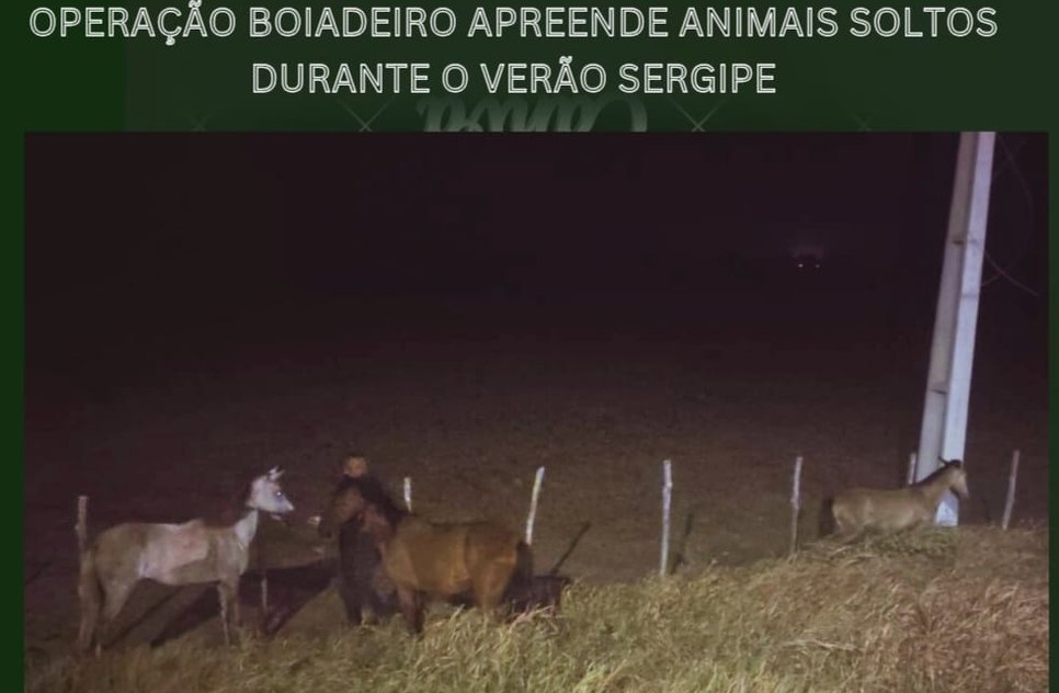 WhatsApp Image 2026-02-08 at 10.40.21 / Foto: Foto: BPRV/SE