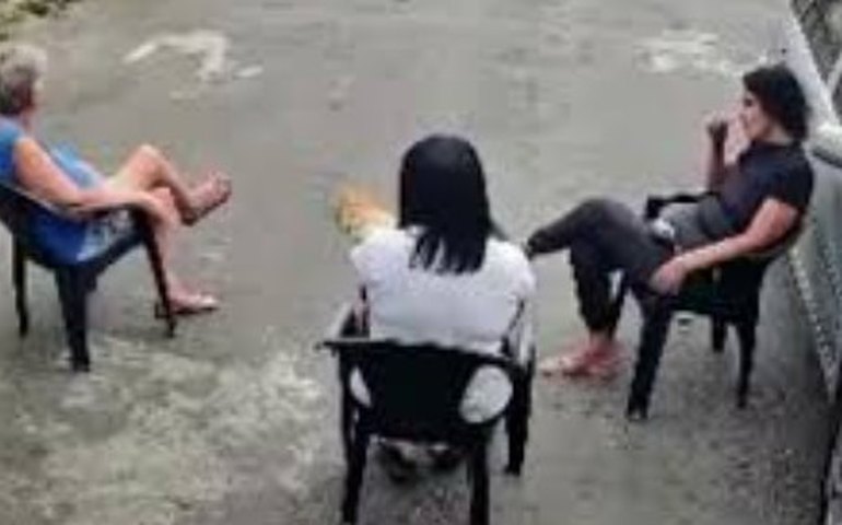 Herói felino! Gato enfrenta pitbull e salva idosa no Rio de Janeiro