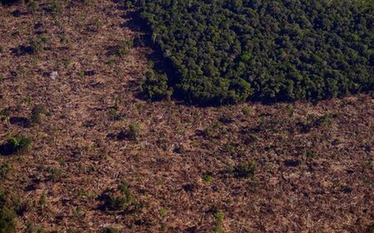 Amazônia tem 2º trimestre com maior desmate desde 2016