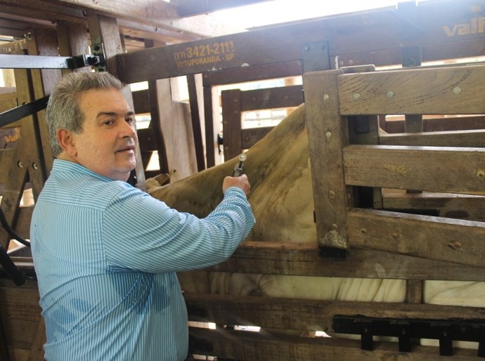 Adeal inicia primeira etapa da campanha de vacinação contra aftosa de 2016