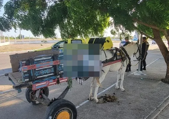 Homem é encontrado morto em carroça de burro no interior de AL