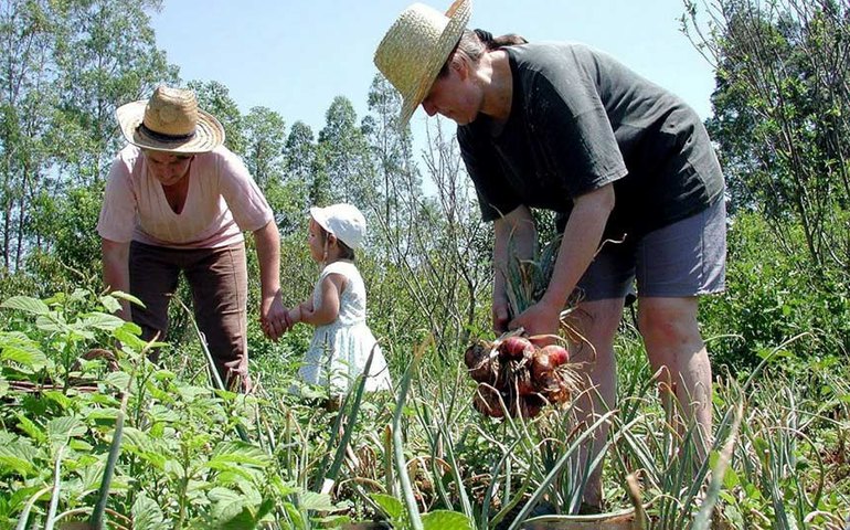 MP destina R$ 100 milhões para a compra de alimentos da agricultura familiar