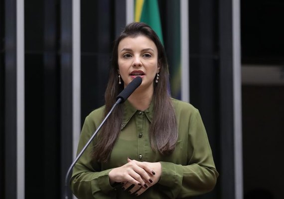 Comissão discute criação do Dia Nacional do Alho Brasileiro