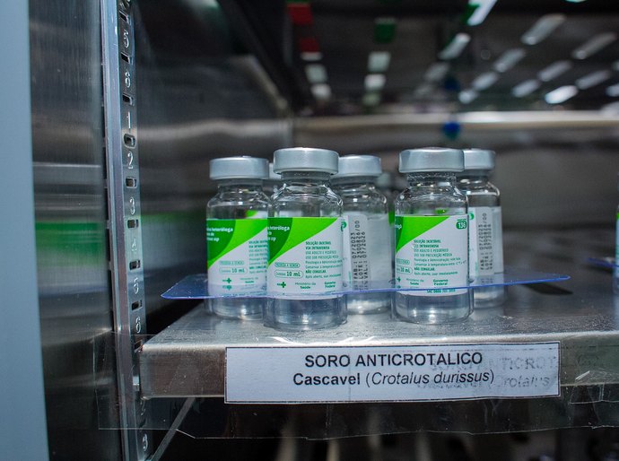 UPA de Coruripe é referência regional no atendimento a vítimas de animais peçonhentos