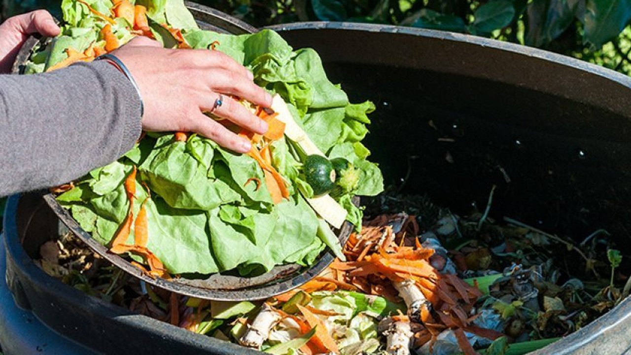 Processo de compostagem contribui para reutilizar rejeitos e resíduos
