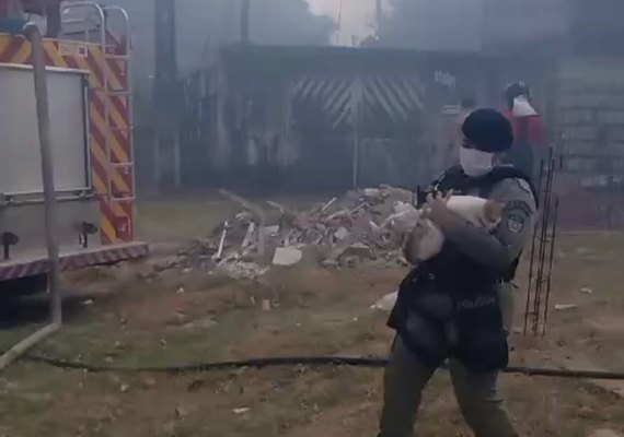 Mais e 20 animais domésticos são salvos de incêndio em Maceió