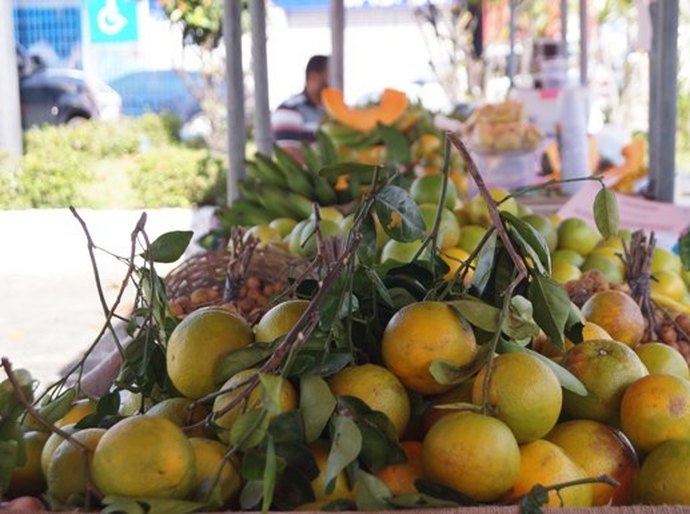 Seagri realiza última feira de produtos orgânicos do ano nesta sexta-feira