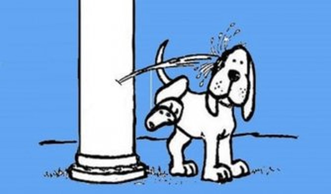 O poste está urinando no cachorro