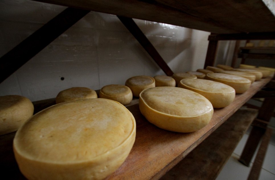Queijo Foto Arthuro Paganini