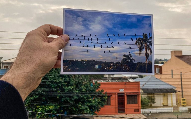 O som de uma imagem: fotógrafo da EBC inspira música premiada